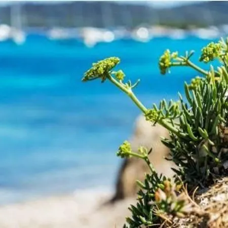 Appartamento Studio Cosy Au Lavandou, Proche Plage, Animaux Acceptes - Fr-1-251-844 *
