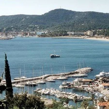 Studio Cosy Au Lavandou, Proche Plage, Animaux Acceptes - Fr-1-251-844 Appartamento