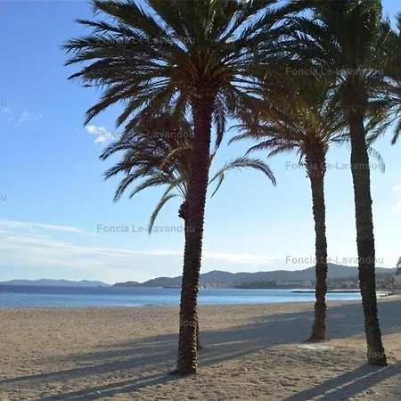 Studio Cosy Au Lavandou, Proche Plage, Animaux Acceptes - Fr-1-251-844 Appartamento